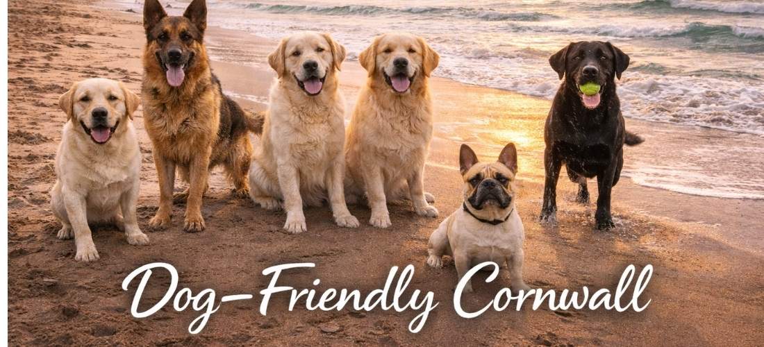 Dog-Friendly Yorkshire | Complete Guide