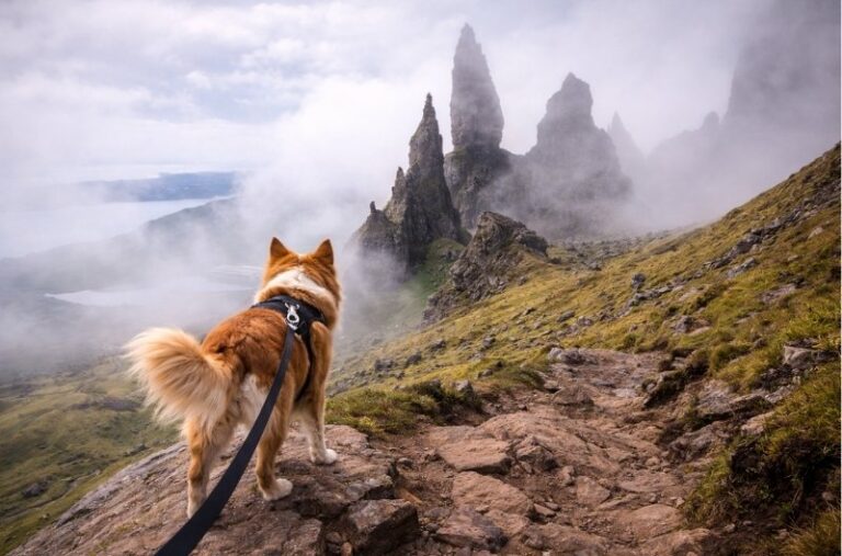Dog-friendly Isle of Skye Old Man of Storr dramatic rock formations