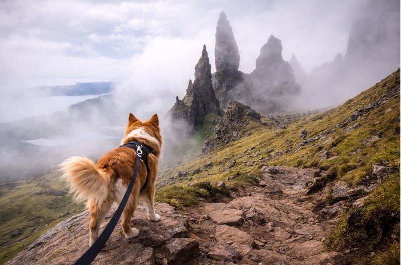 Dog-friendly Isle of Skye Old Man of Storr dramatic rock formations